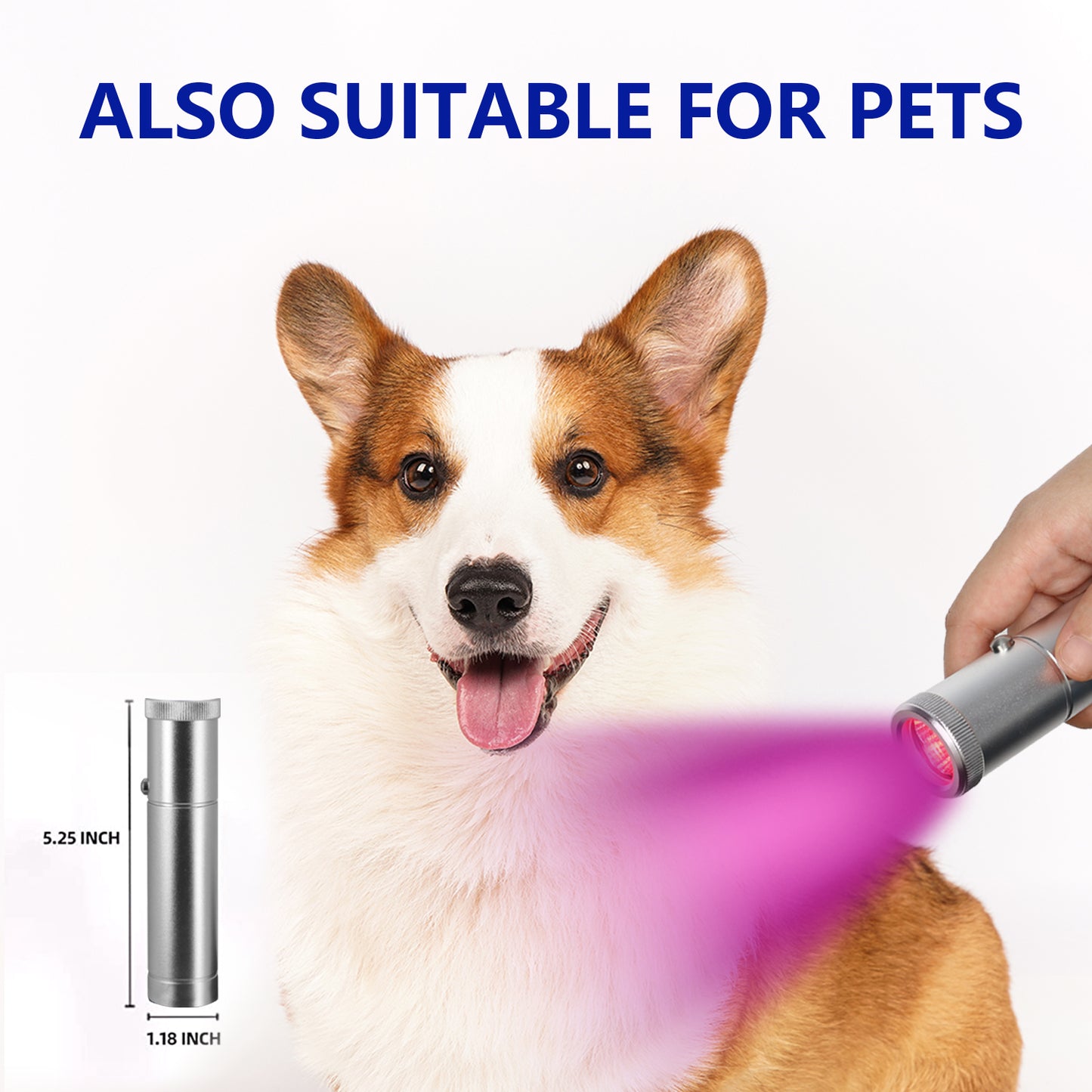 Asteroid Pulsar: fotobiomodulazione e fototerapia localizzate