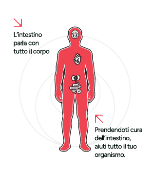 Test avanzato per l'analisi del microbiota intestinale Symbyo Gut